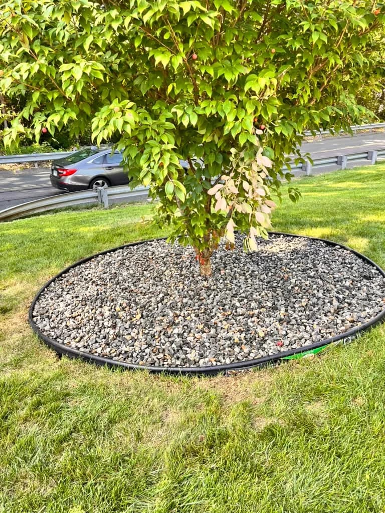 Tree ring finished with decorative stone and a defined black border