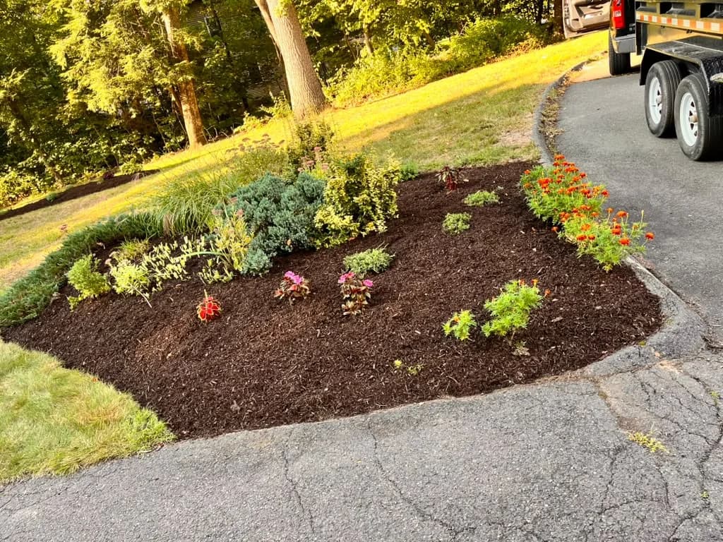 Driveway garden bed refreshed with dark mulch and colorful plantings