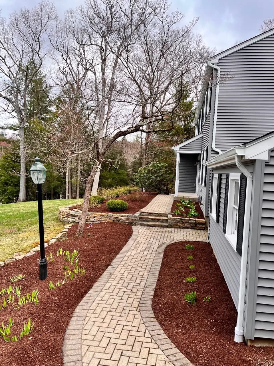 Residential paver walkway bordered by refreshed mulch beds and stone walls